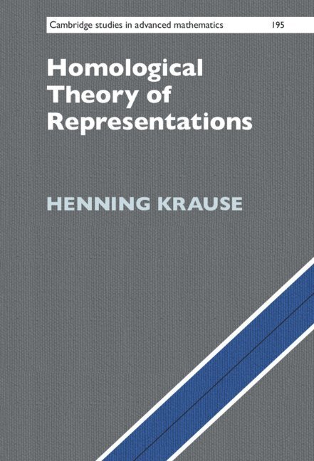 Homological Theory of Representations 1