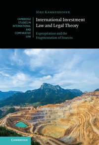 bokomslag International Investment Law and Legal Theory