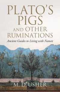 bokomslag Plato's Pigs and Other Ruminations