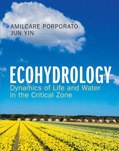 Amilcare Porporato, Jun Yin - Ecohydrology, Inbunden
