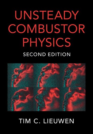 Tim C. Lieuwen - Unsteady Combustor Physics, Inbunden