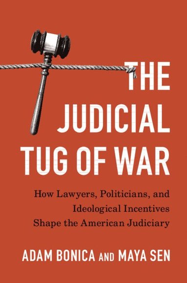 bokomslag The Judicial Tug of War