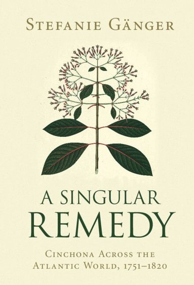 Stefanie Gänger - A Singular Remedy, Inbunden