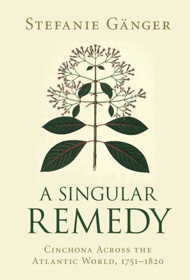 bokomslag A Singular Remedy