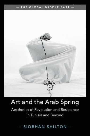 bokomslag Art and the Arab Spring