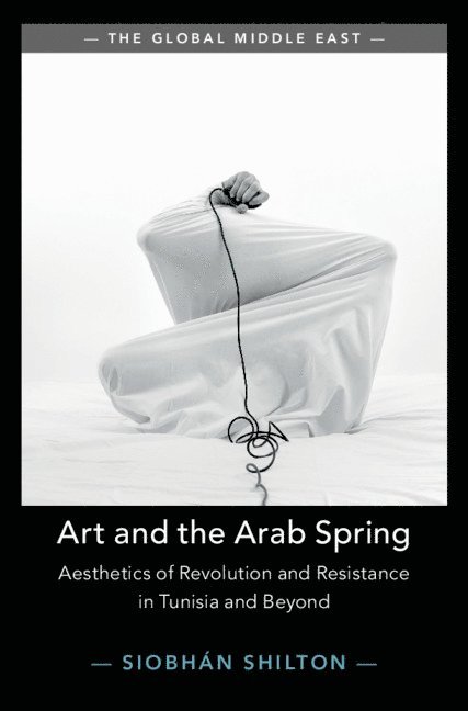 Siobhan Shilton, Siobhan (University of Bristol) Shilton - Art and the Arab Spring, Inbunden
