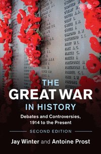 bokomslag The Great War in History