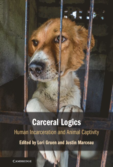 Carceral Logics