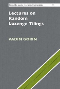 bokomslag Lectures on Random Lozenge Tilings
