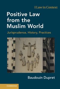 bokomslag Positive Law from the Muslim World