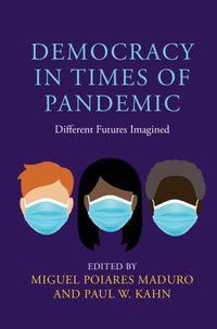 bokomslag Democracy in Times of Pandemic