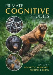 bokomslag Primate Cognitive Studies