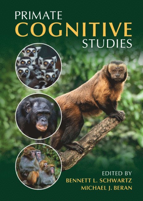 Primate Cognitive Studies 1