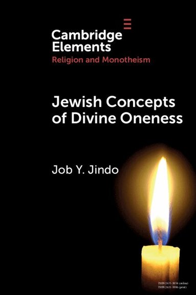 Job Y. Jindo - Jewish Concepts of Divine Oneness, Häftad