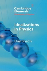 bokomslag Idealizations in Physics