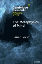 Janet Levin, Janet (University of Southern California) Levin - Metaphysics of Mind, Häftad