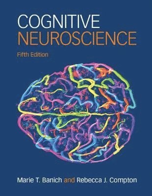 Cognitive Neuroscience 1