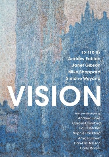 bokomslag Vision