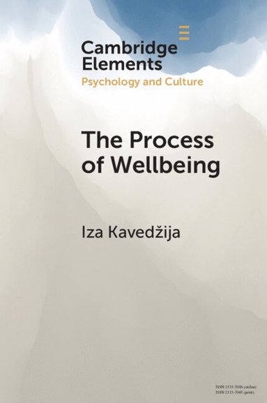 bokomslag The Process of Wellbeing