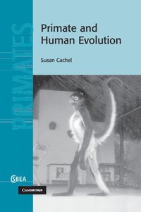 bokomslag Primate and Human Evolution