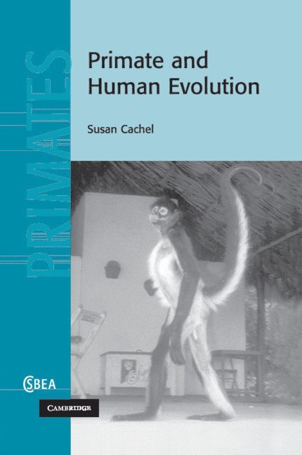 Primate and Human Evolution 1