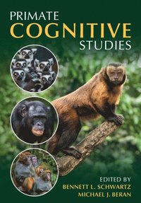 bokomslag Primate Cognitive Studies