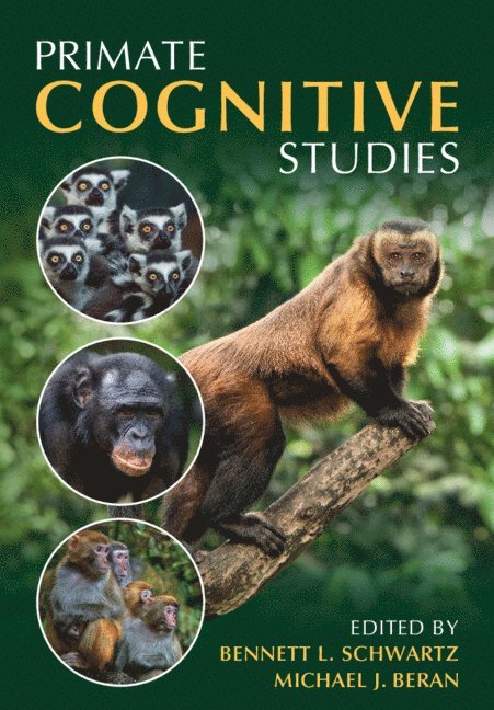 Primate Cognitive Studies 1