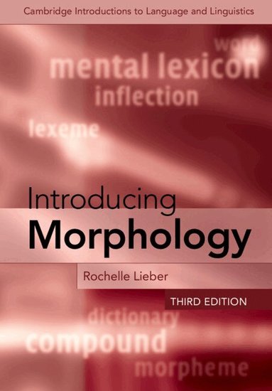 Rochelle Lieber - Introducing Morphology, Häftad