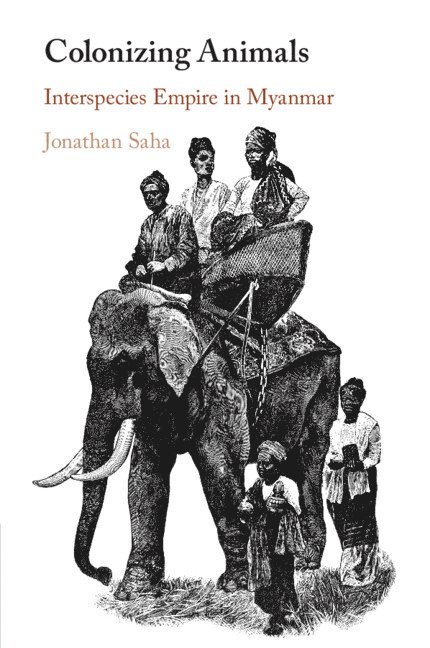 Colonizing Animals 1
