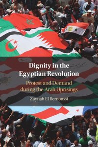 bokomslag Dignity in the Egyptian Revolution