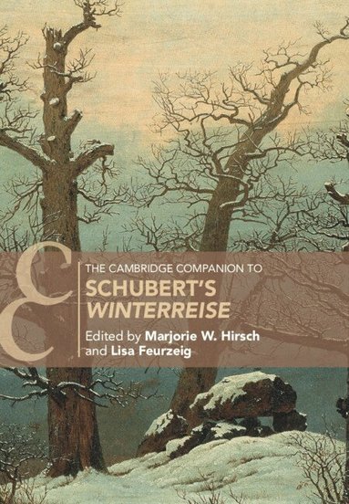 Marjorie W. Hirsch, Lisa Feurzeig - The Cambridge Companion to Schubert's 'Winterreise', Häftad