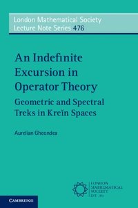 bokomslag Indefinite Excursion in Operator Theory