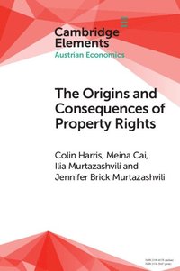 bokomslag The Origins and Consequences of Property Rights