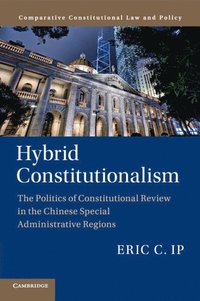 bokomslag Hybrid Constitutionalism