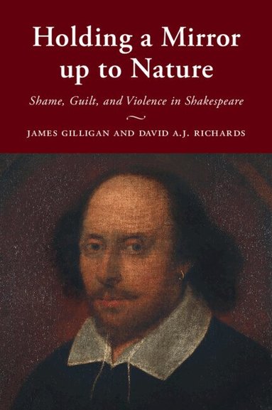 James Gilligan, David A.J. Richards - Holding a Mirror up to Nature, Häftad