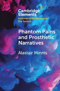 bokomslag Phantom Pains and Prosthetic Narratives