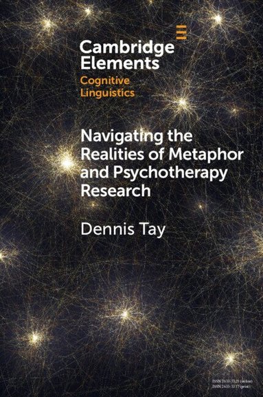 Dennis Tay - Navigating the Realities of Metaphor and Psychotherapy Research, Häftad
