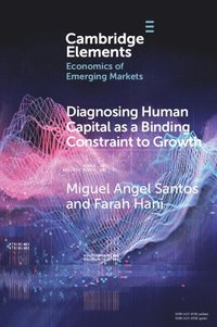 bokomslag Diagnosing Human Capital as a Binding Constraint to Growth