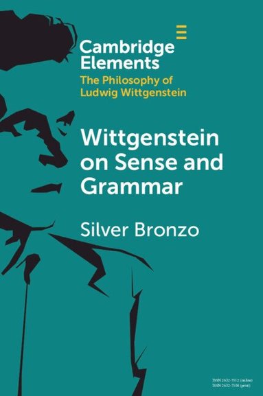Silver Bronzo - Wittgenstein on Sense and Grammar, Häftad