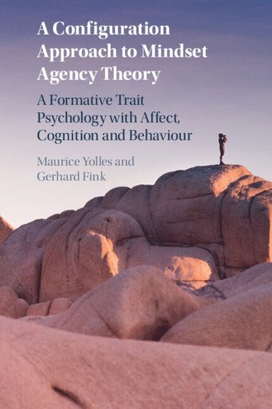 bokomslag A Configuration Approach to Mindset Agency Theory