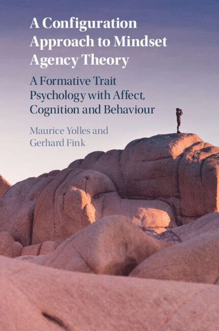 A Configuration Approach to Mindset Agency Theory 1