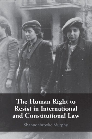 Shannonbrooke Murphy - The Human Right to Resist in International and Constitutional Law, Häftad