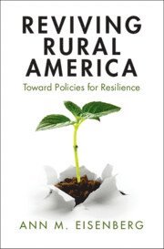 bokomslag Reviving Rural America