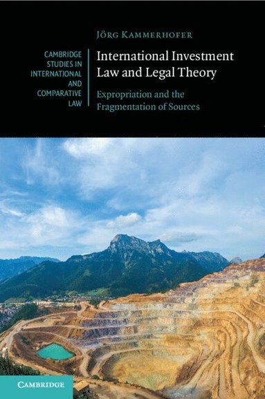 bokomslag International Investment Law and Legal Theory