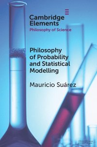 bokomslag Philosophy of Probability and Statistical Modelling