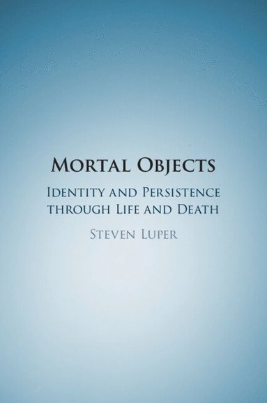 bokomslag Mortal Objects