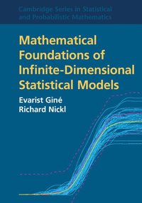 bokomslag Mathematical Foundations of Infinite-Dimensional Statistical Models