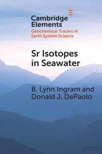 bokomslag Sr Isotopes in Seawater
