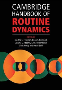 bokomslag Cambridge Handbook of Routine Dynamics