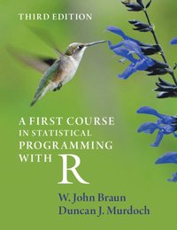 bokomslag A First Course in Statistical Programming with R